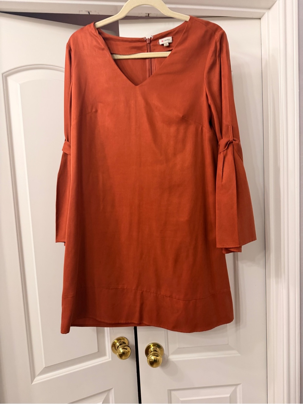 Daniel Cremieux Rust V-Neck Tunic with Tie-Sleeves
